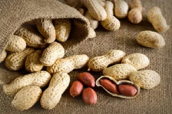 تصویر 2 از قیمت خرید بادام زمینی کپسولی به صرفه و ارزان
